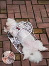 Transparent Dog Raincoat with Hood