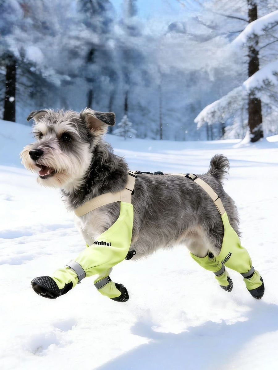 Rutschfeste & wasserdichte Hundeschuhe