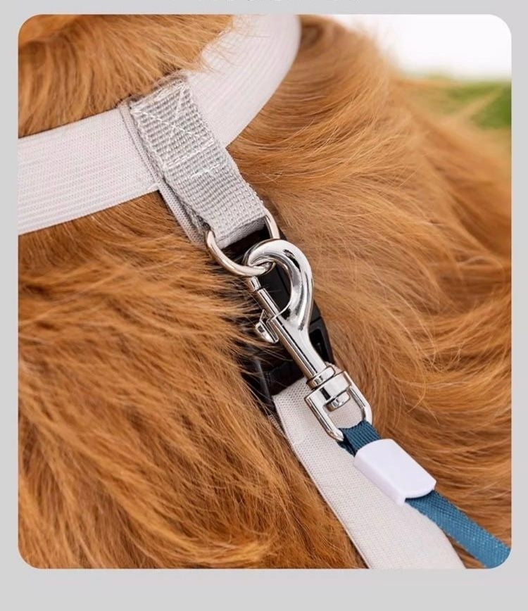 Rutschfeste & wasserdichte Hundeschuhe