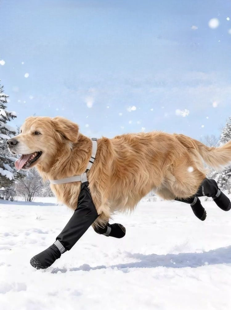 Rutschfeste & wasserdichte Hundeschuhe
