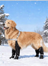 Waterproof & Anti-slip Dog Boots