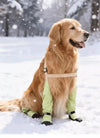 Waterproof & Anti-slip Dog Boots