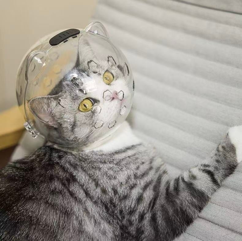 Katzenmaulkorb