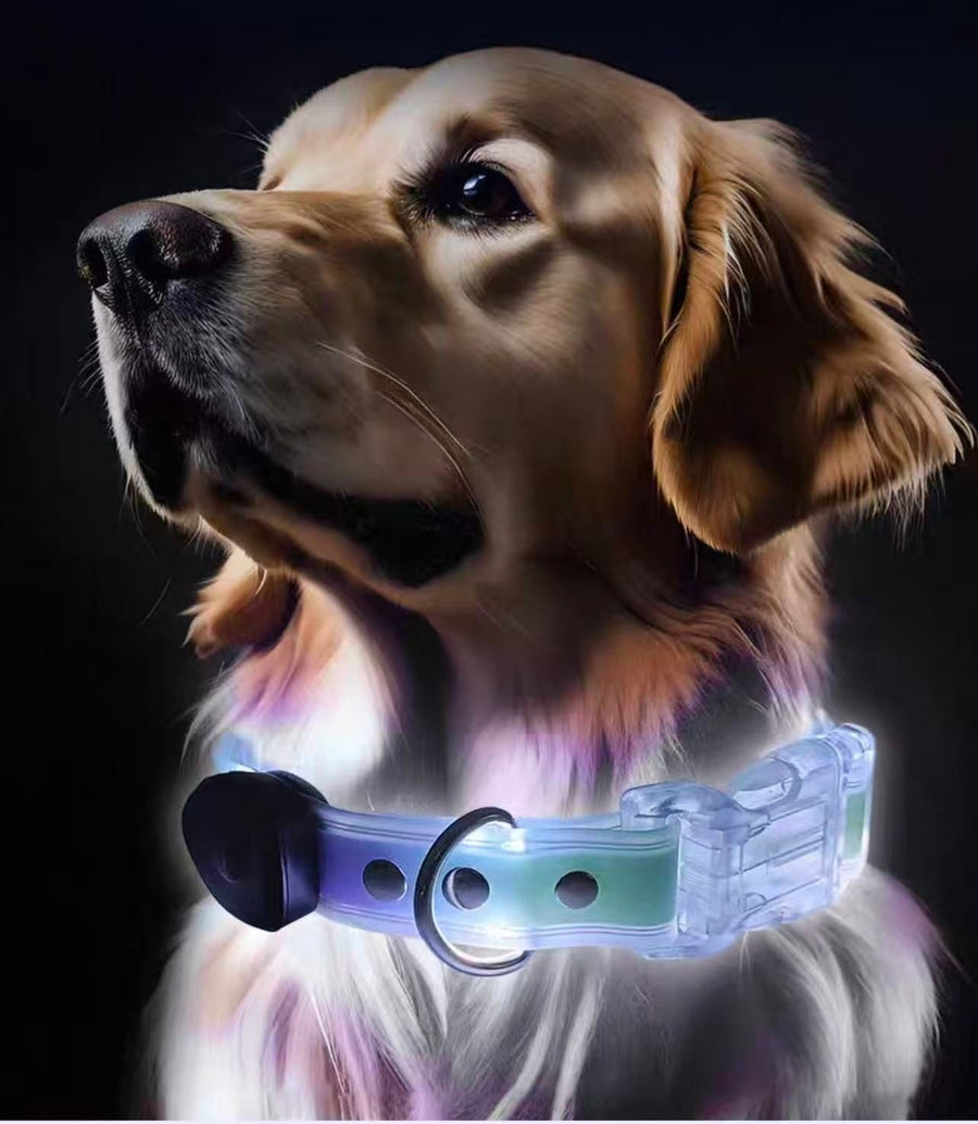 Pet LED Collar & Leash Set