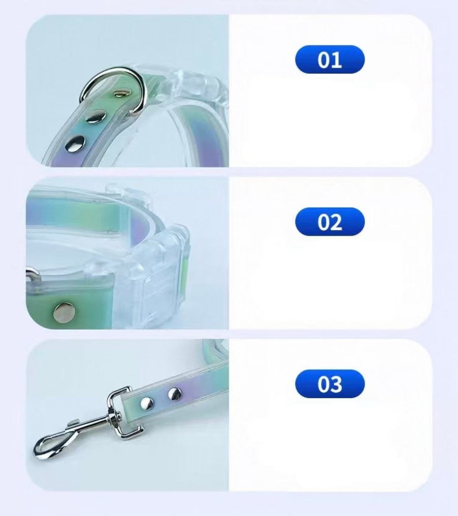 Pet LED Collar & Leash Set