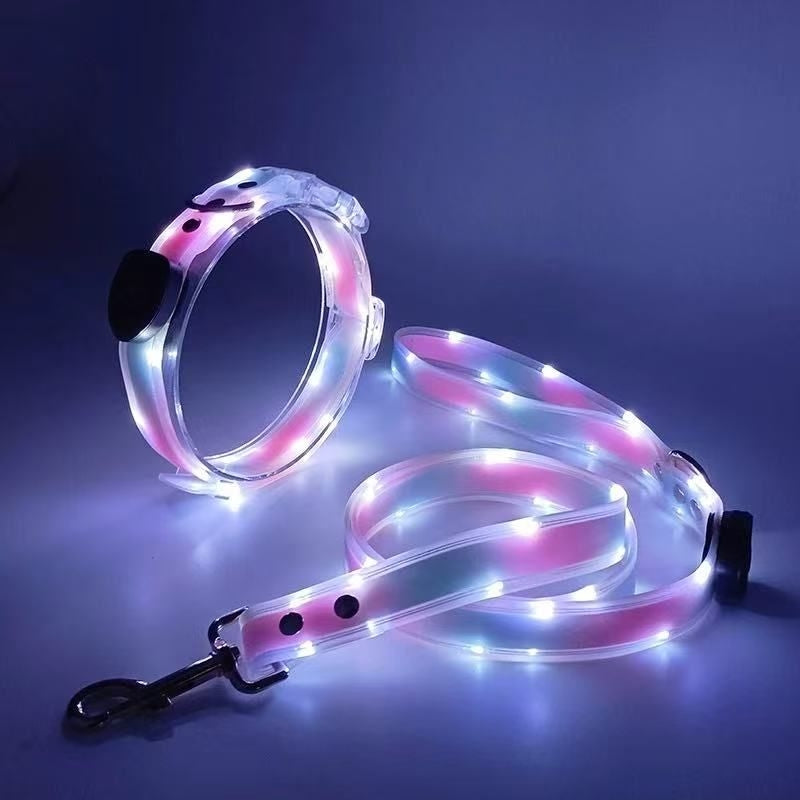 Pet LED Collar & Leash Set