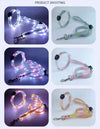 Dog LED Leash Set Glow in the Dark Night Walking