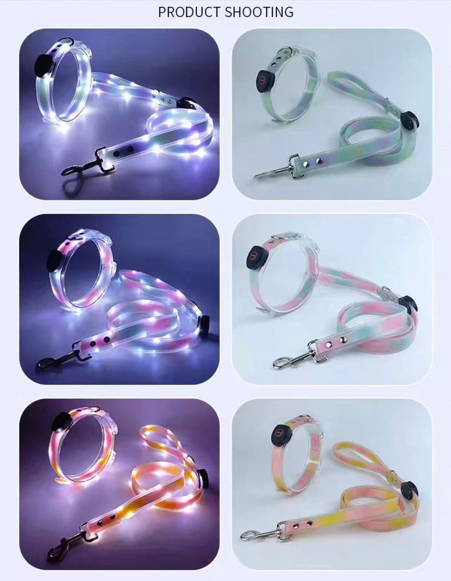 Pet LED Collar & Leash Set