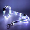 Dog LED Leash Set Glow in the Dark Night Walking