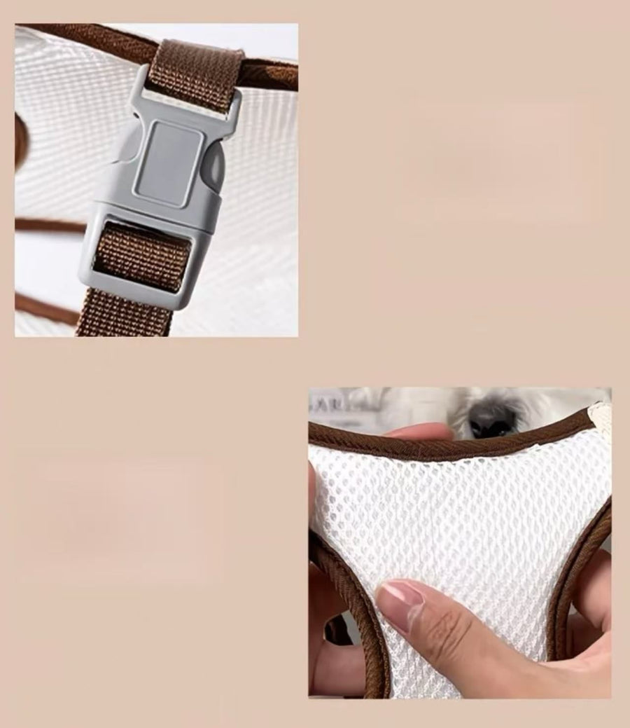 Cross-Body Pet Handbag