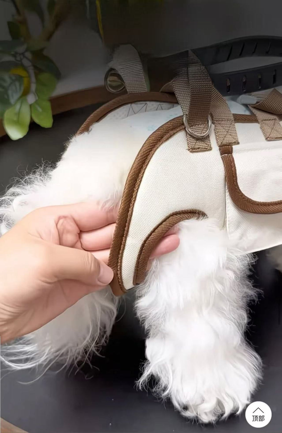 Cross-Body Pet Handbag