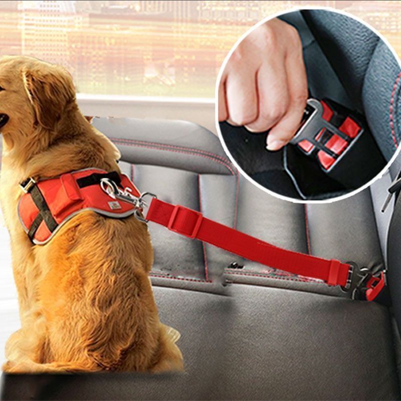 Laisse de ceinture de sécurité réglable pour chien en voiture