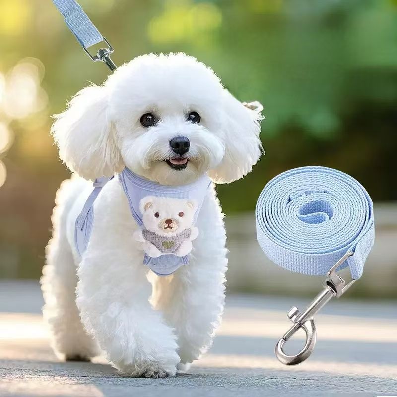 Cutie Bear Harness and Leash Set