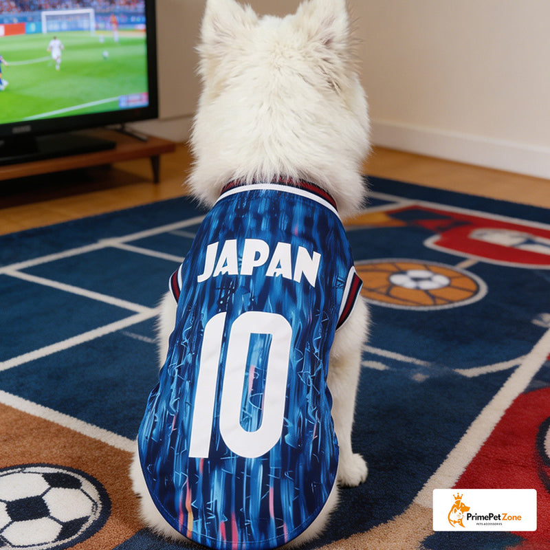 Japan 10 - Startseite