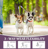 Hands Free Dog Leash with 360° Swivel Hook